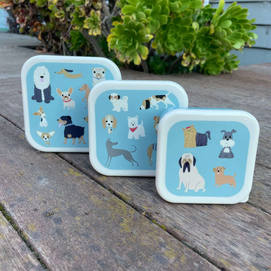 Trio of blue snack boxes with fun cartoon dogs printed on the lids.