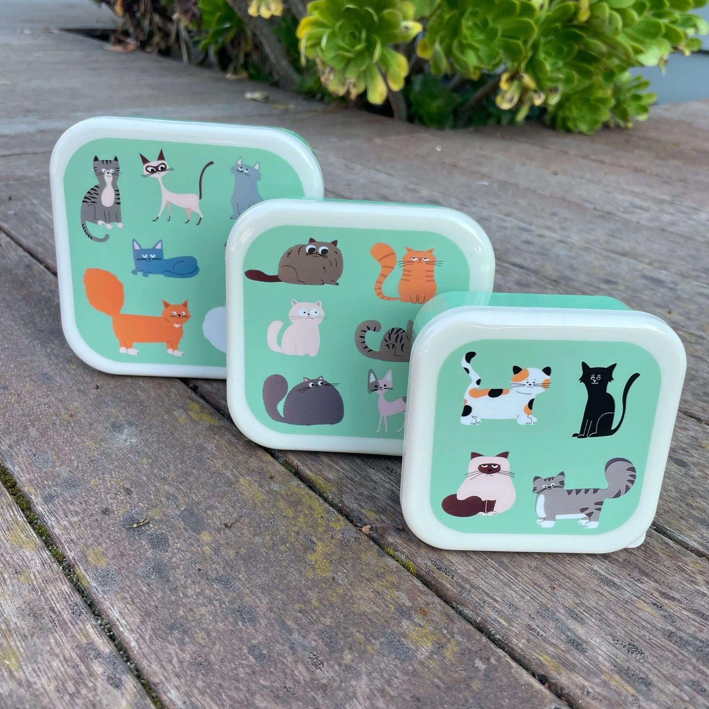 Trio of mint green snack boxes with cute cartoon cats printed on each lid.