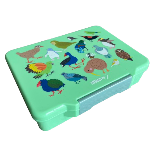 Minty green kids lunch box with cute colourful native New Zealand birds printed on the lid.