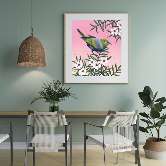 Art print by Anna Evans of a Waxeye bird on a manuka branch with white flowers and a soft pink background. In a large square wooden frame with white border hanging on a soft grey wall with a wicker hanging lamp above a table and chair setting.