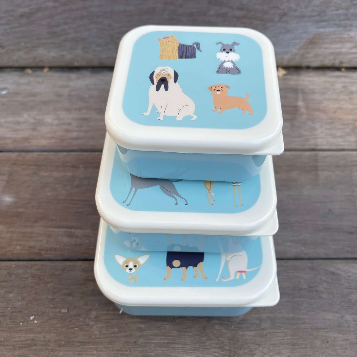 Trio of blue snack boxes with fun cartoon dogs printed on the lids.