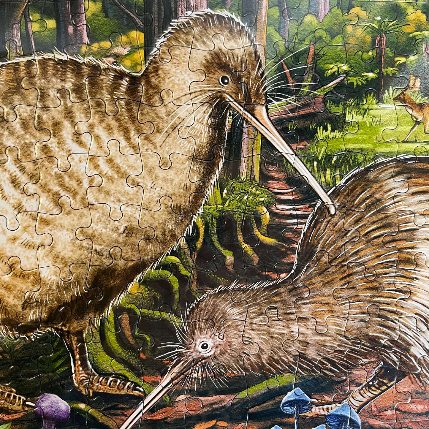 Kiwi bird jigsaw puzzle.